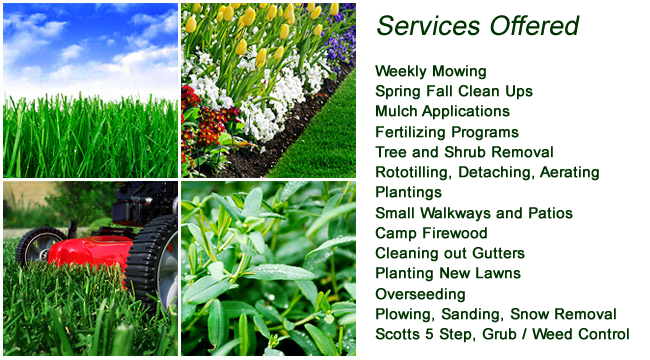 Landscaping Irving Tx